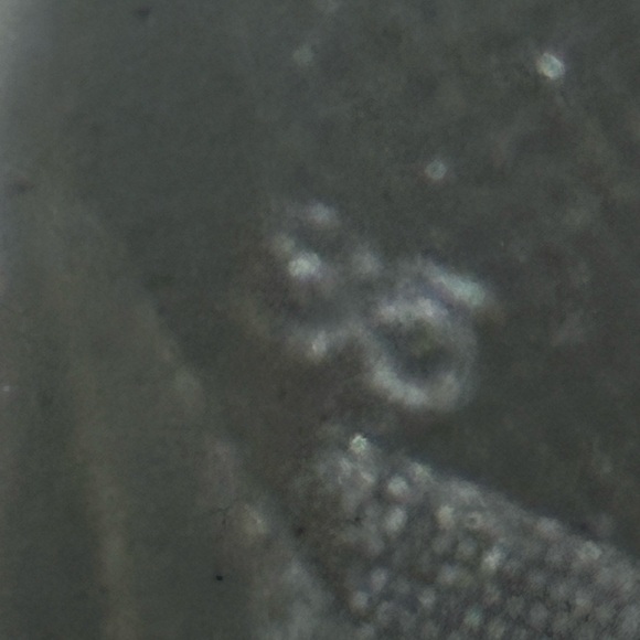 Prada Saffiano Round Trimmed Zip Around Long Wallet - Picture 11 of 13